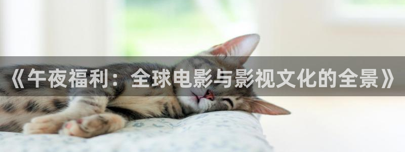 98影院手机免费观看