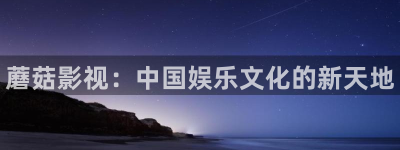 98视频网