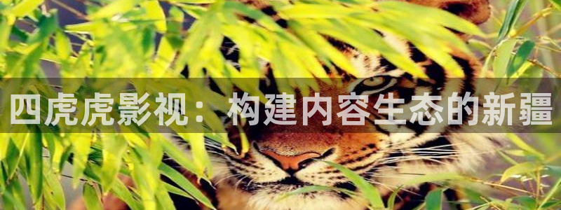 请回答1988在线播放免费观看